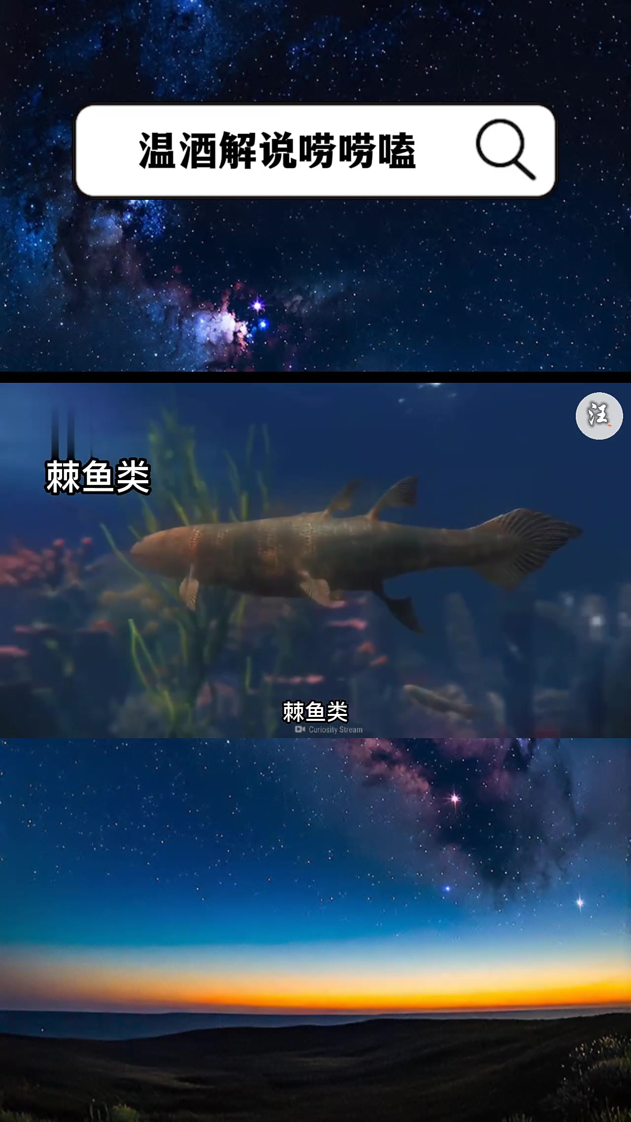 4亿多年前的鱼类都长什么样?科普一下 邓氏鱼