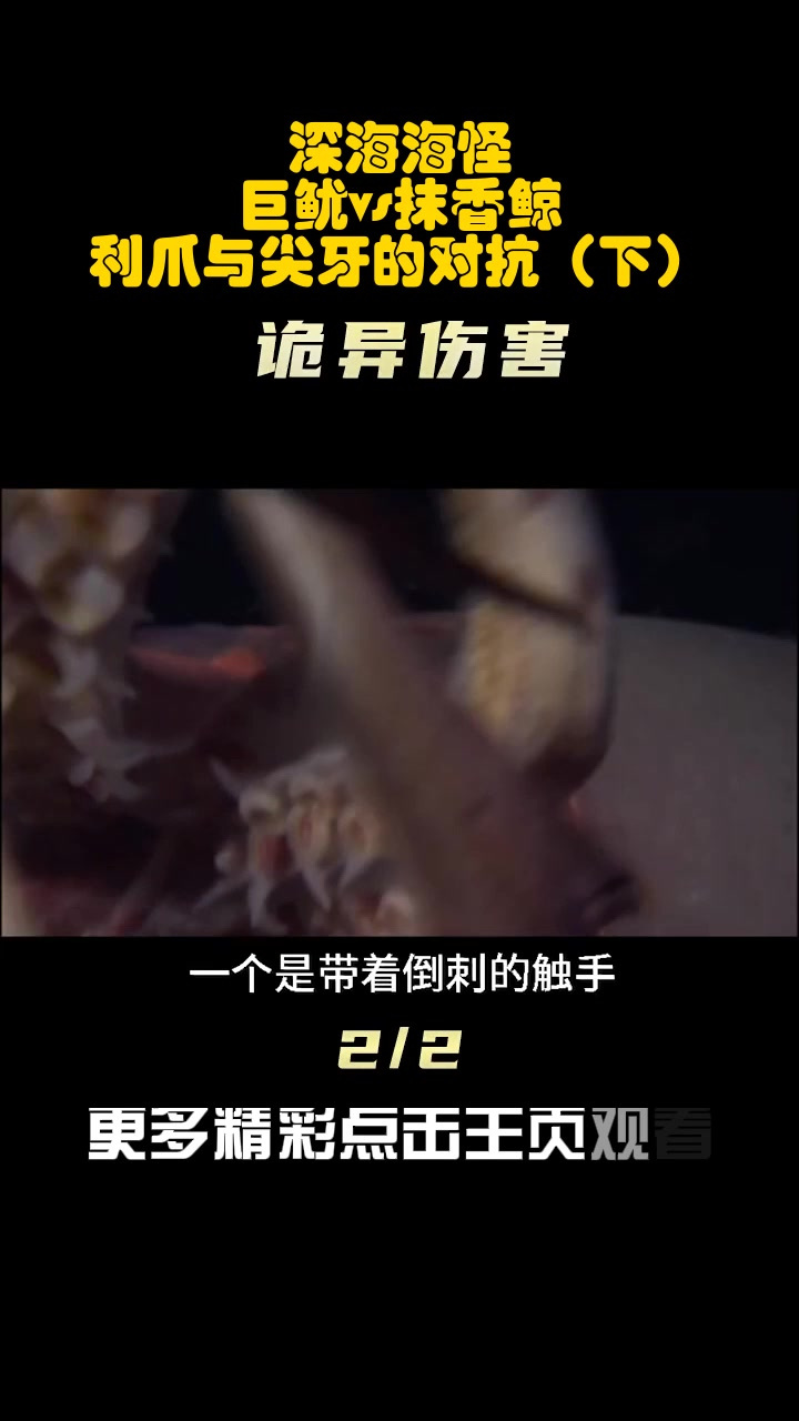 深海海怪:巨鱿vs抹香鲸,利爪与尖牙的对抗(下)
