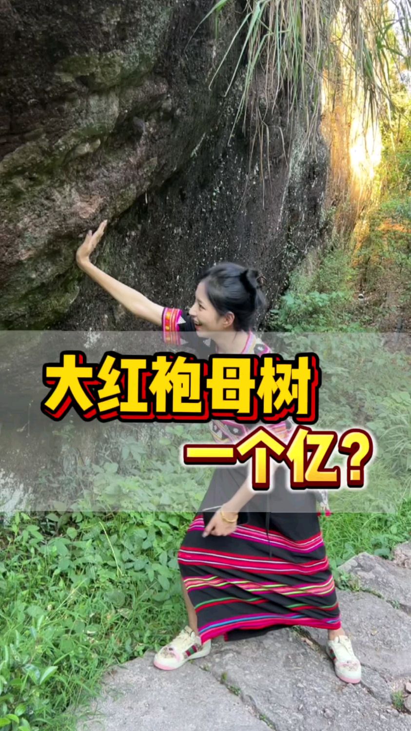价值一千万一斤的大红袍也算是见到了! #云南姑娘的茶
