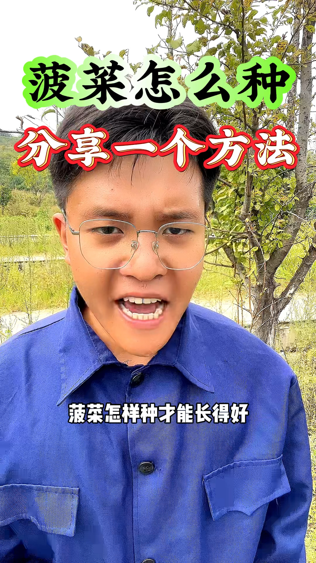 菠菜怎样种植,才能长得好,分享一个非常简单的方法