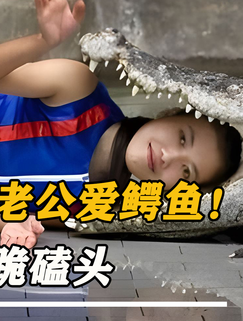 儿媳妇不爱老公爱鳄鱼,同吃同睡一起洗澡,婆婆:咋不吃了你?