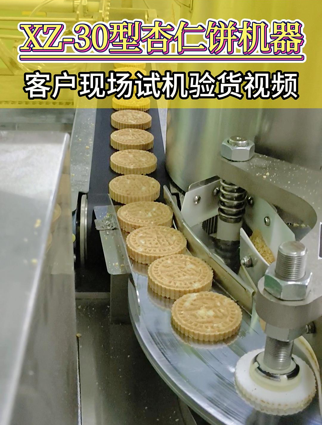 客户现场验货杏仁饼机器,定制印花图案,自动压模成型排盘