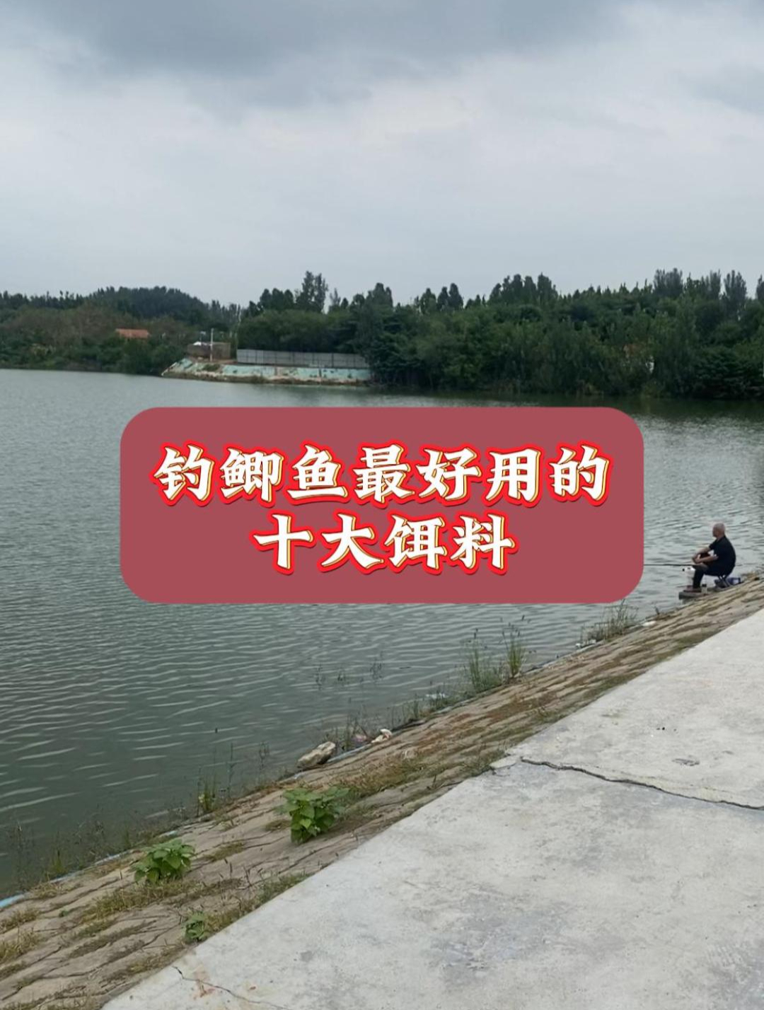 钓鲫鱼最好用的十大饵料,你认可这个排行榜吗?
