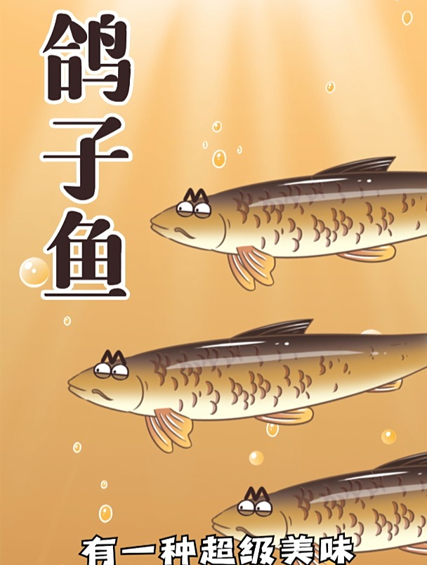 “牢底坐穿”鸽子鱼有多大威力?