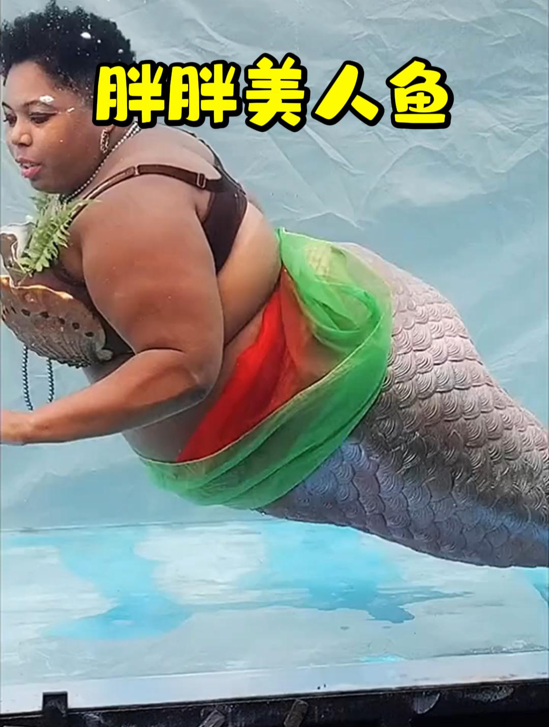 你见过这么胖的美人鱼吗?