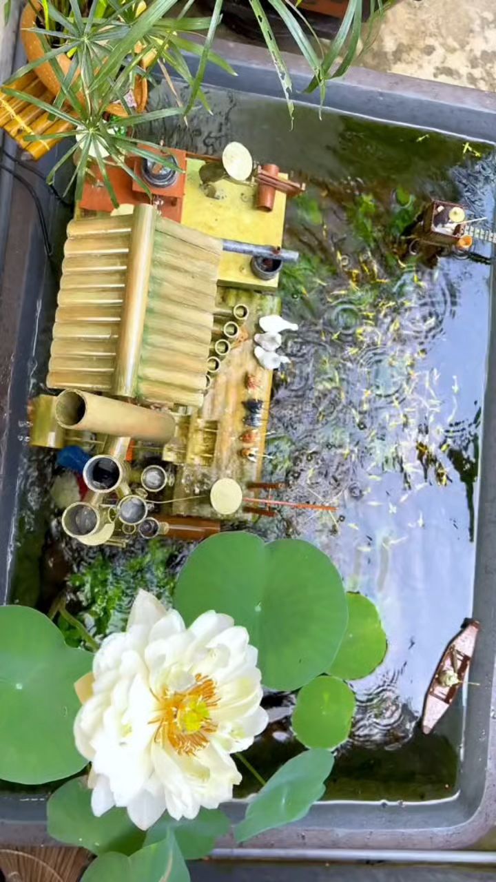 鱼池似画,荷花如诗,鱼儿若璀璨星辰,水车如岁月的车轮悠