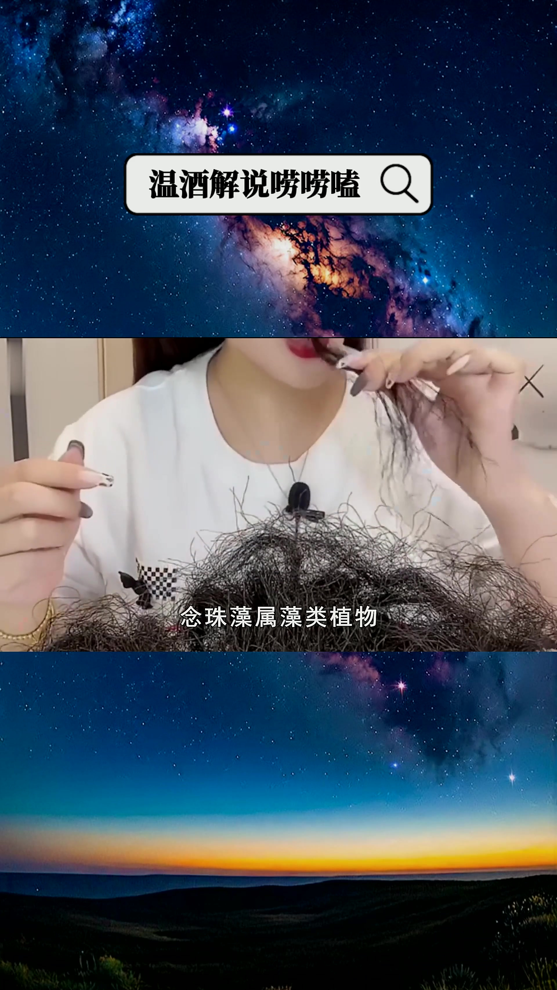 甘肃六人摘发菜获刑,这发菜究竟是什么?为何能成一级保护植物?