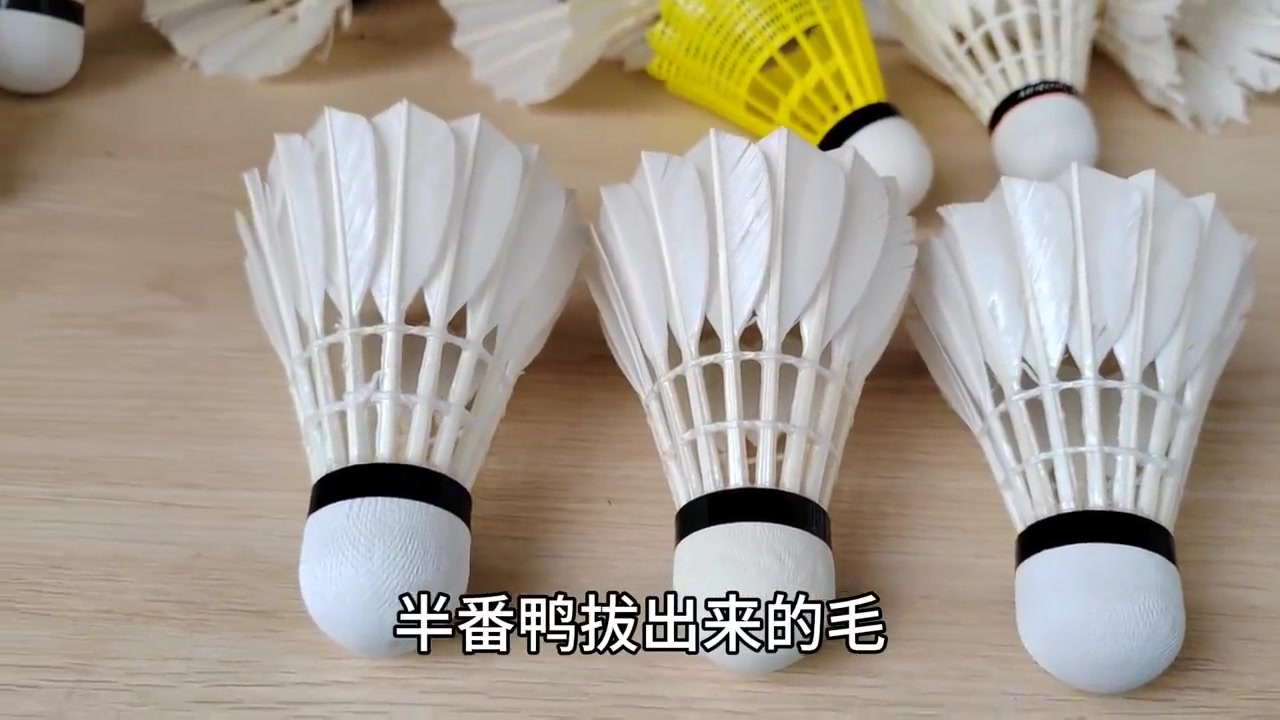 鹚鸪鸭仅仅是羽毛球生产行业的一个名词