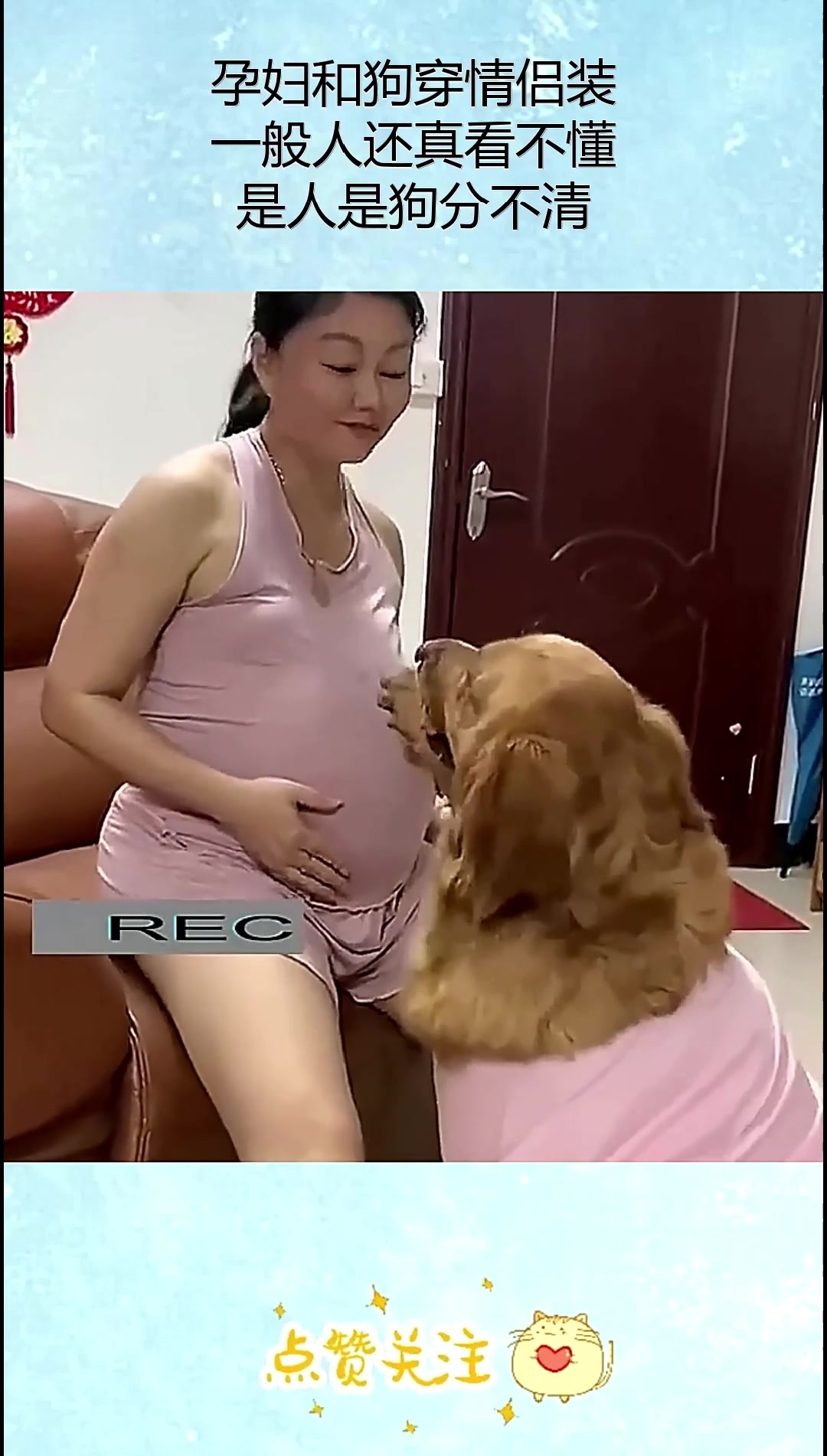 孕妇和狗穿情侣装,一般人还真看不懂,是人是狗分不清!