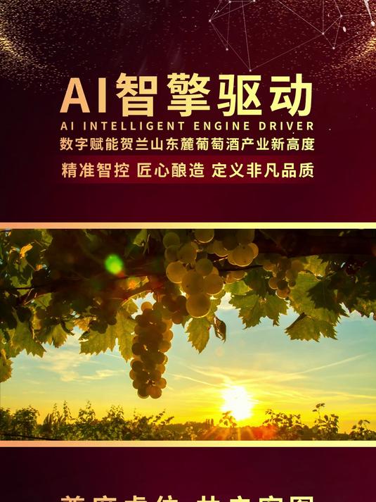 搜了宝最新消息:宁夏贺兰山葡萄酒