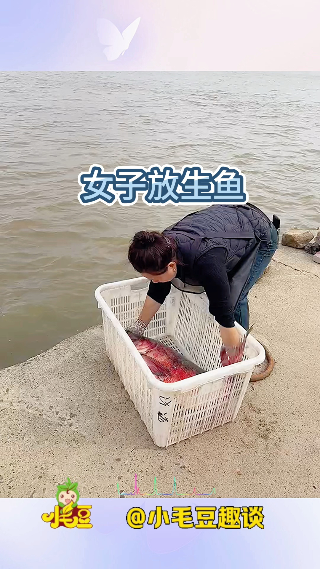 女子放生鱼,让鱼重获自由