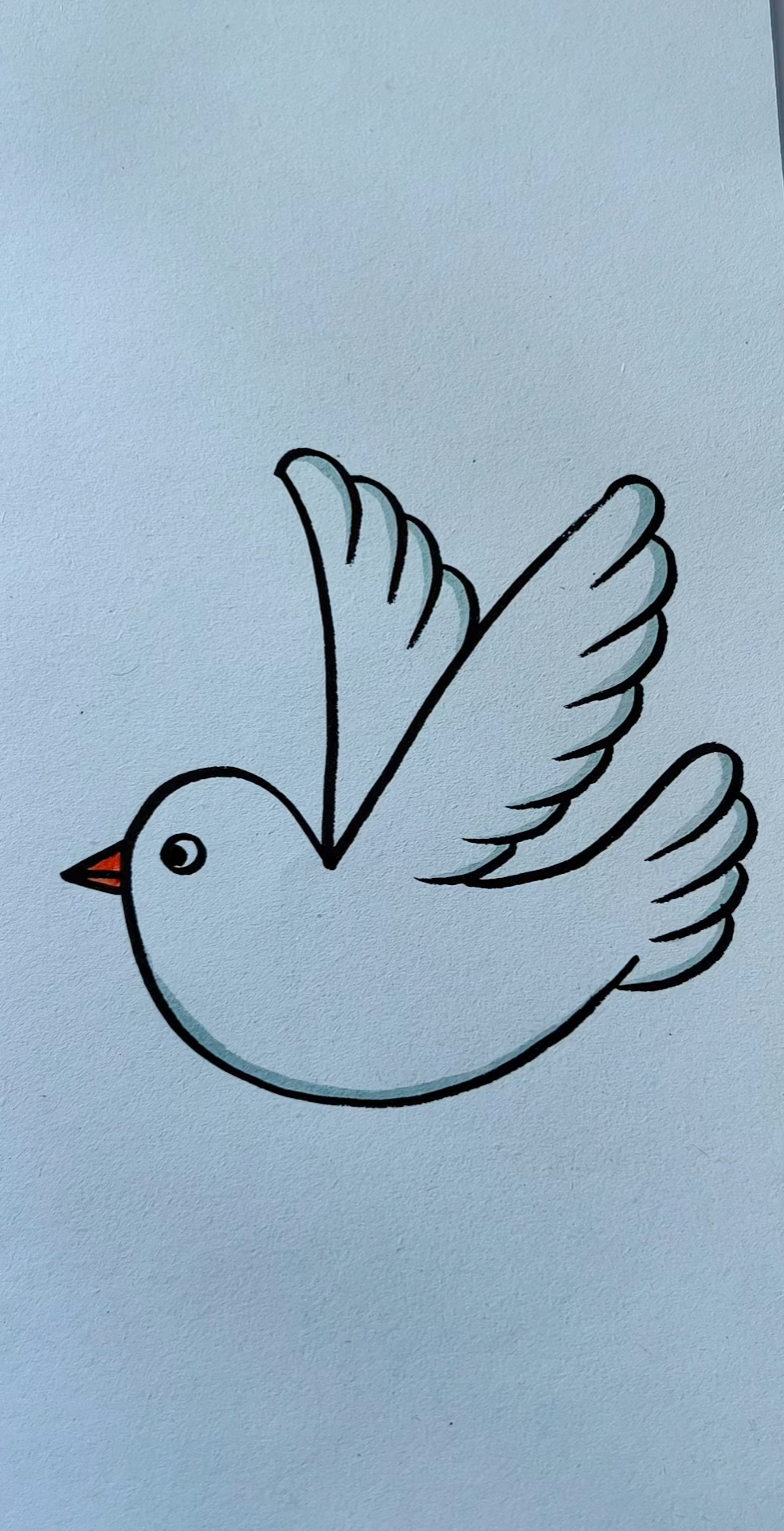 一起来画鸽子吧!