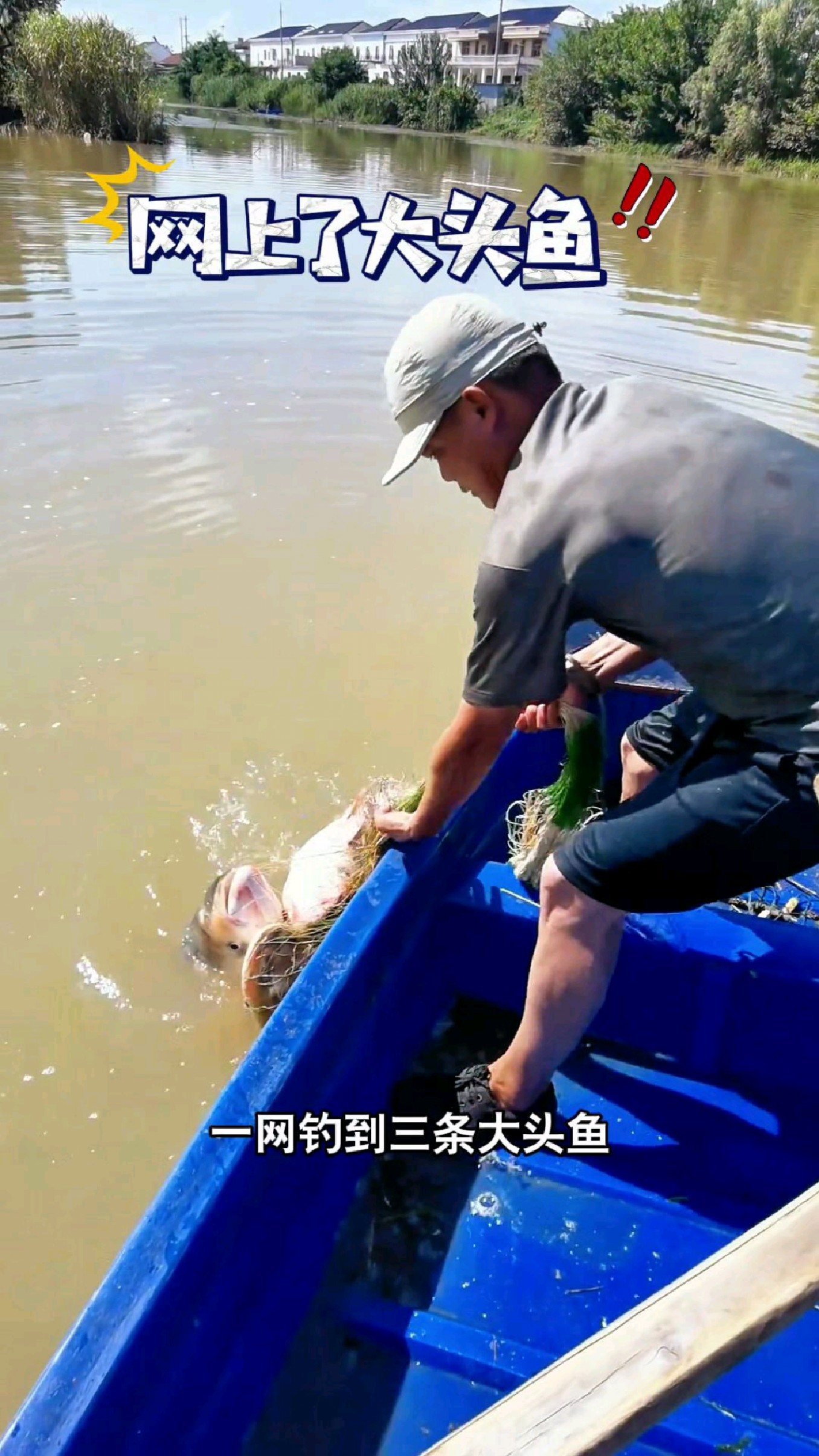 一网钓到3条大头鱼#我的钓鱼日记 #钓鱼也能这么快乐