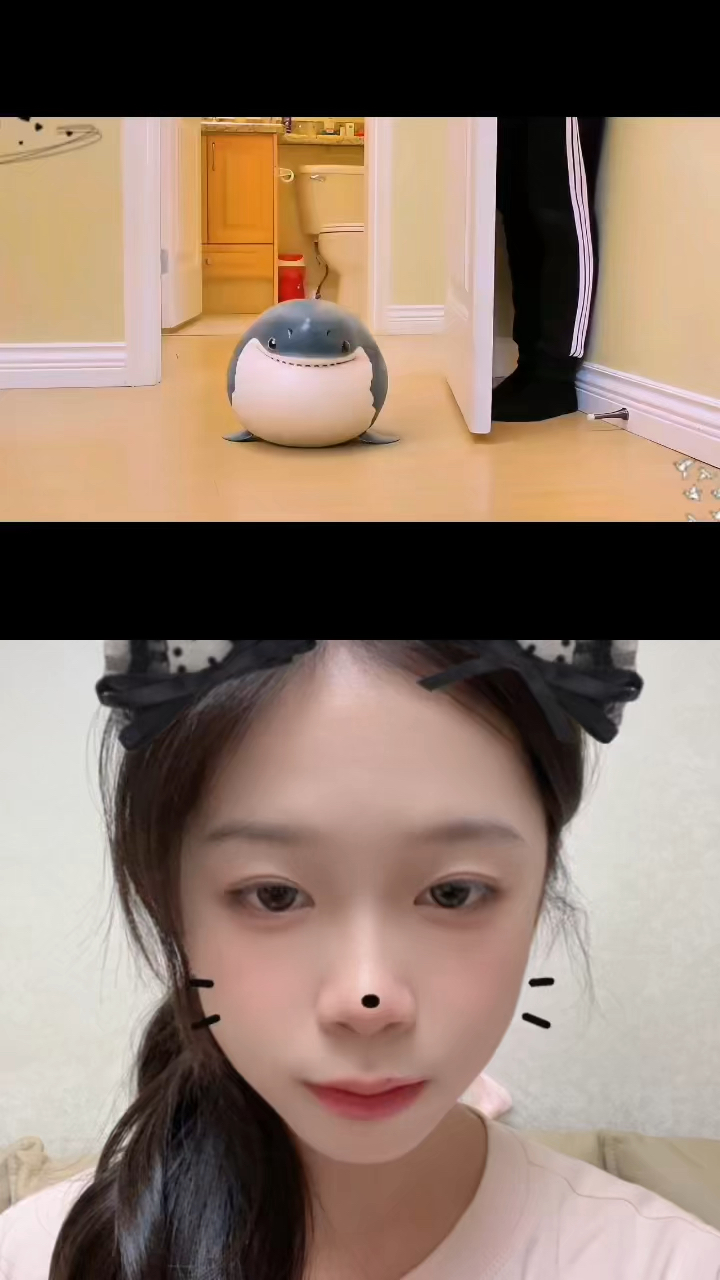 这只小鲨鱼真可爱!