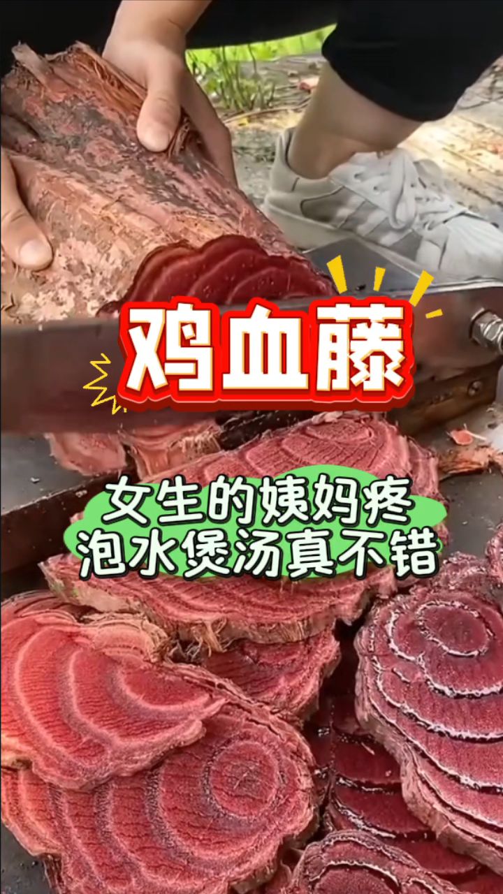 广西「鸡血藤」,女生泡水很适合