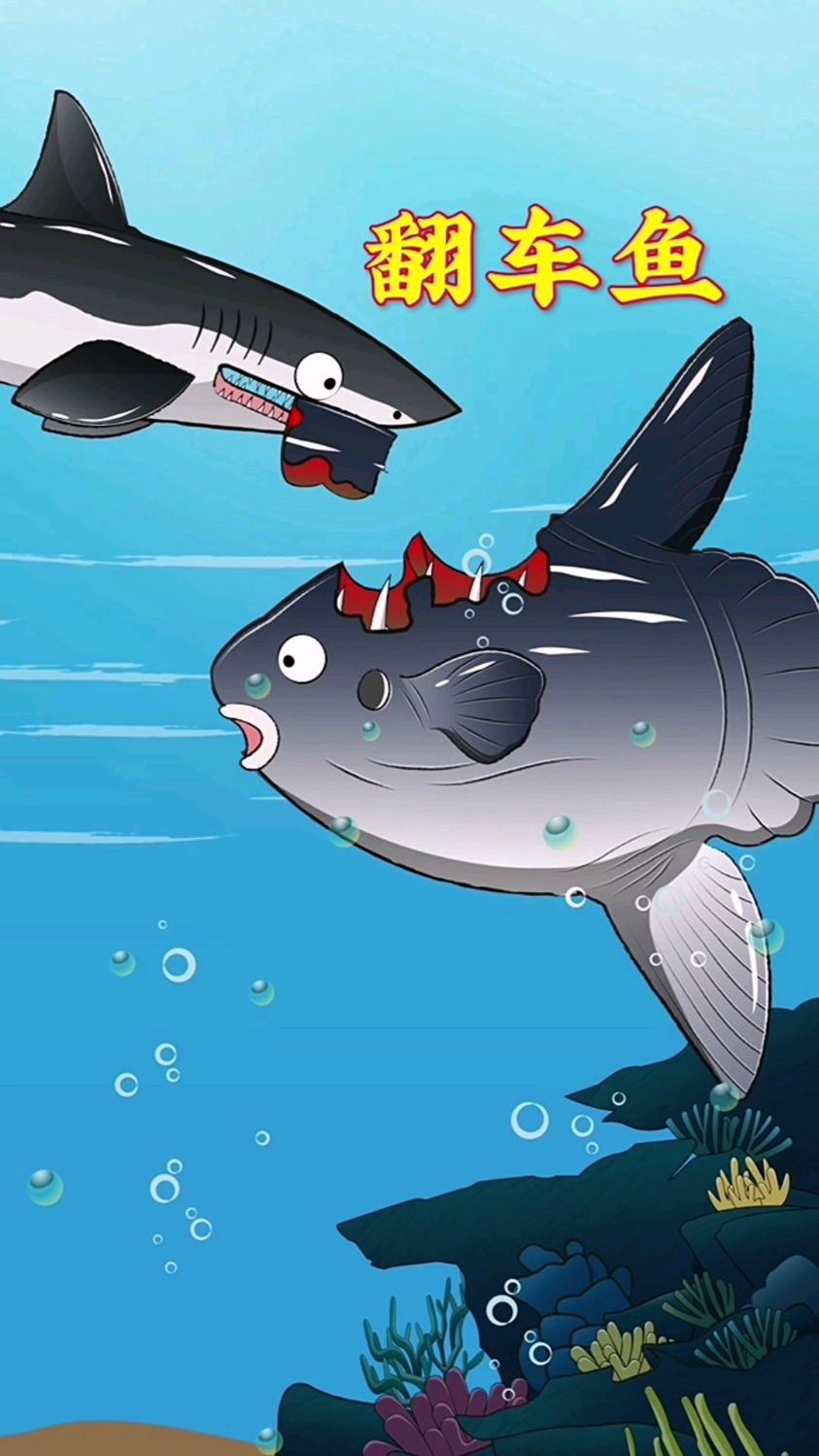 行走中的大面包-“翻车鱼”