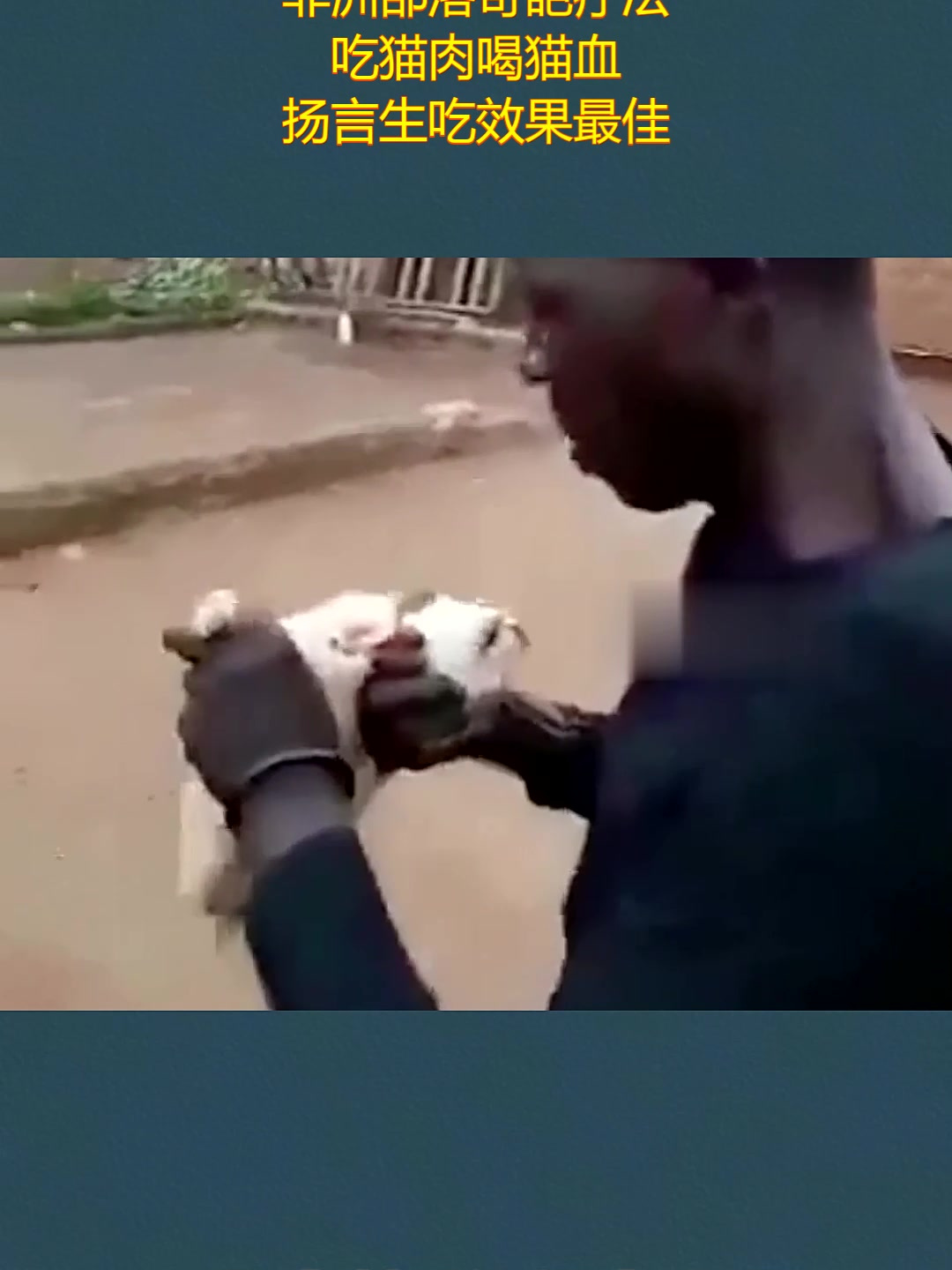 非洲部落奇葩疗法,吃猫肉喝猫血,扬言生吃效果最佳!