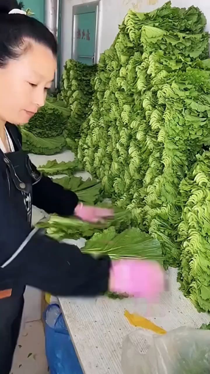 用白菜叶包出来的饭包老好吃了。