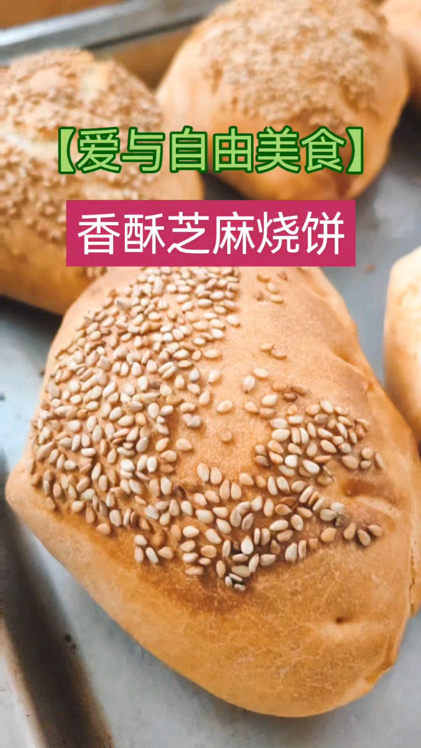 【爱与自由美食】香酥芝麻烧饼