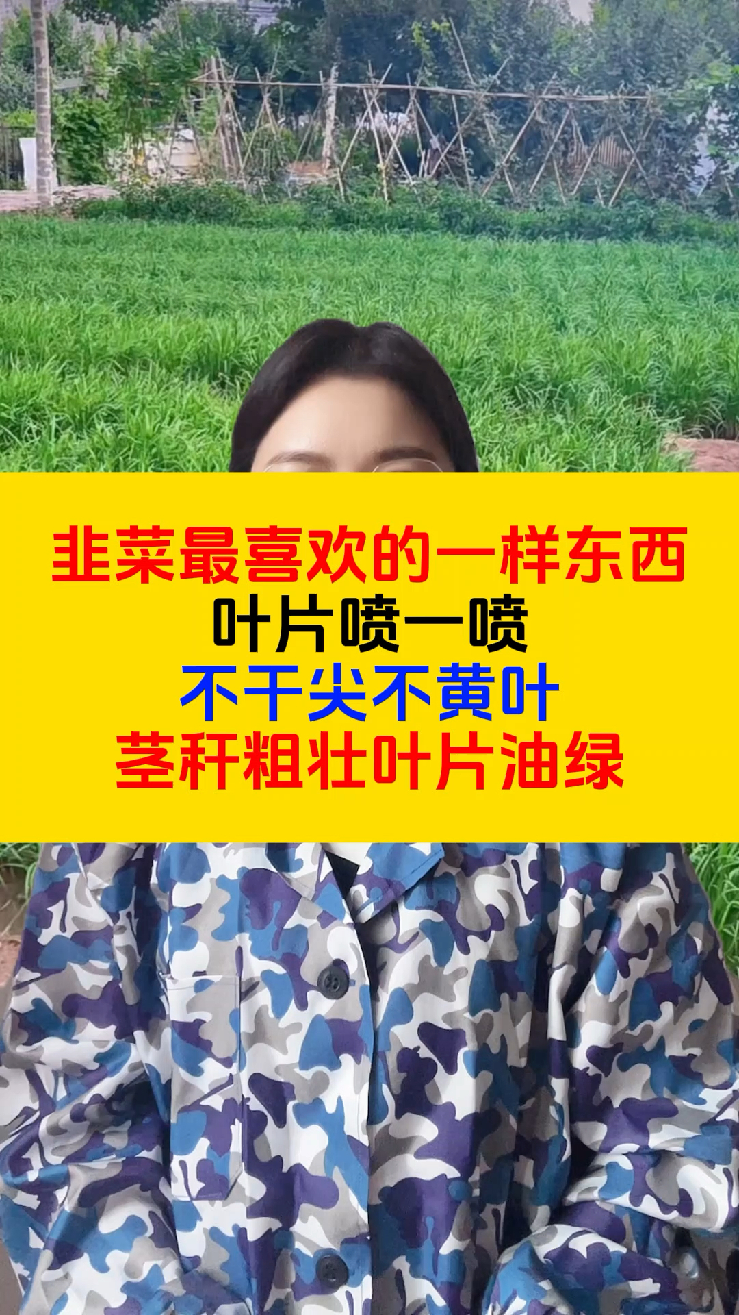 韭菜最喜欢的一样东西,叶片喷一喷,韭菜茎秆粗壮,叶片浓绿肥厚