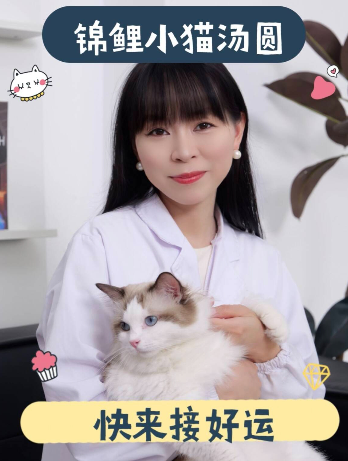 锦鲤小猫汤圆快来接好运!