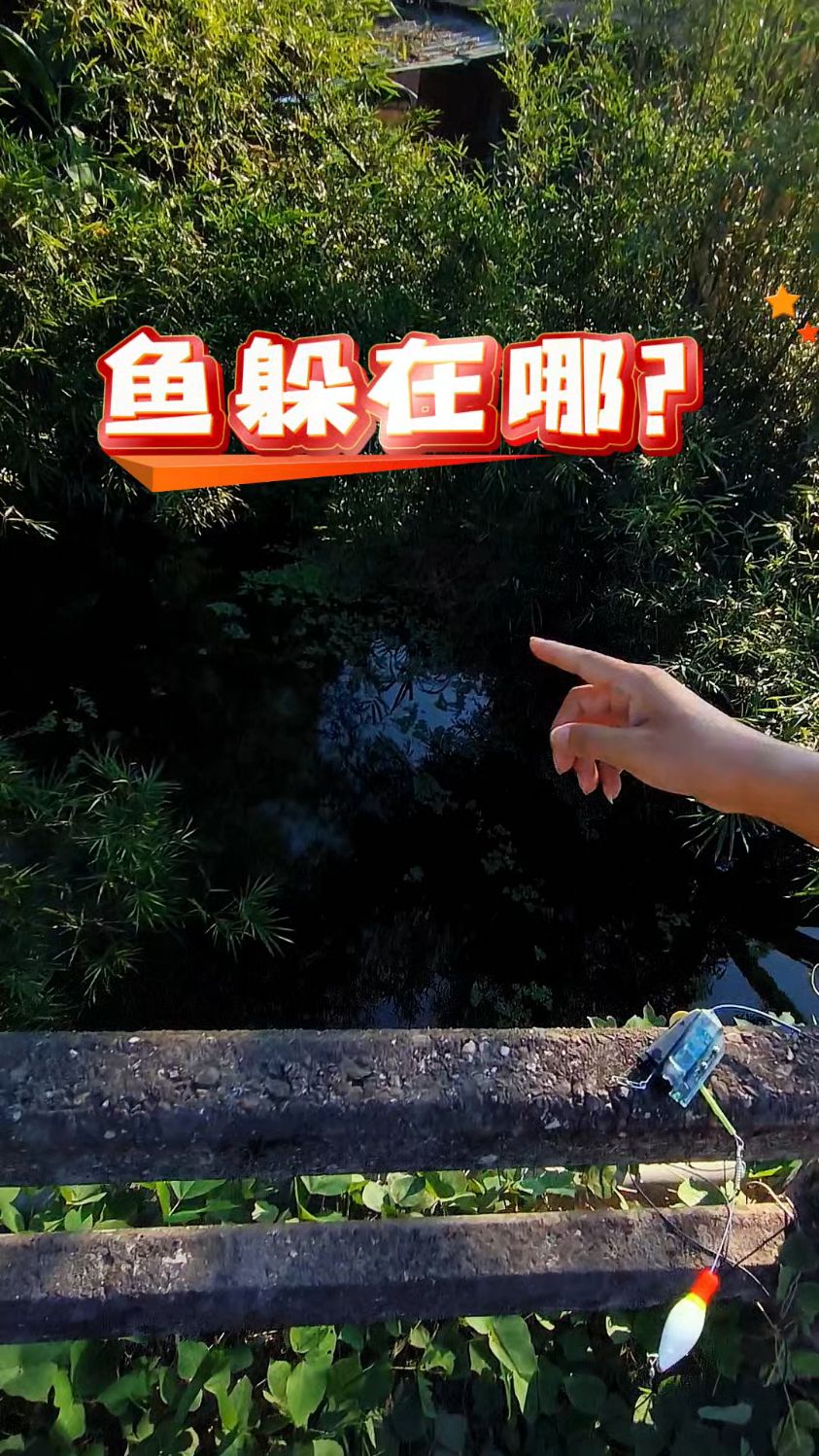找鱼技巧,古老桥底,!#钓鱼人 #钓鱼技巧 #探鱼器 #水下摄像头