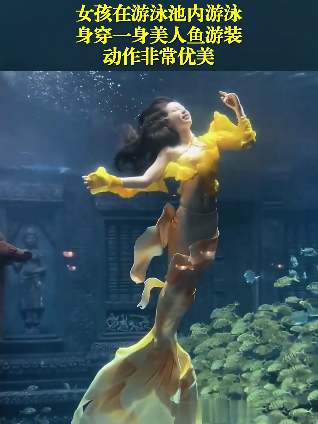女孩在游泳池内游泳,身穿一身美人鱼游装,动作非常优美!
