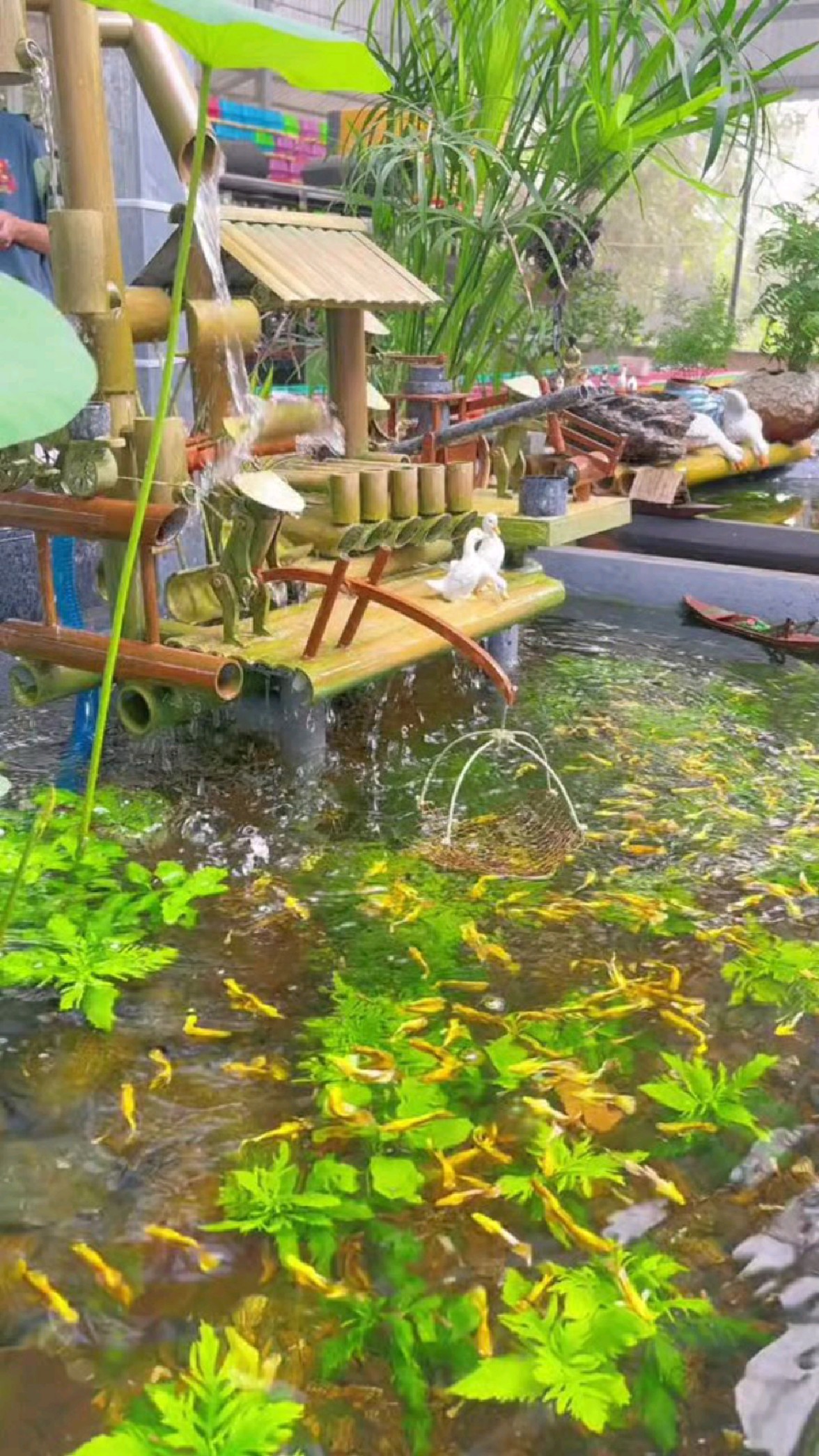 鱼池荷花映,鱼儿水中游,水车悠悠转,美景不胜收。