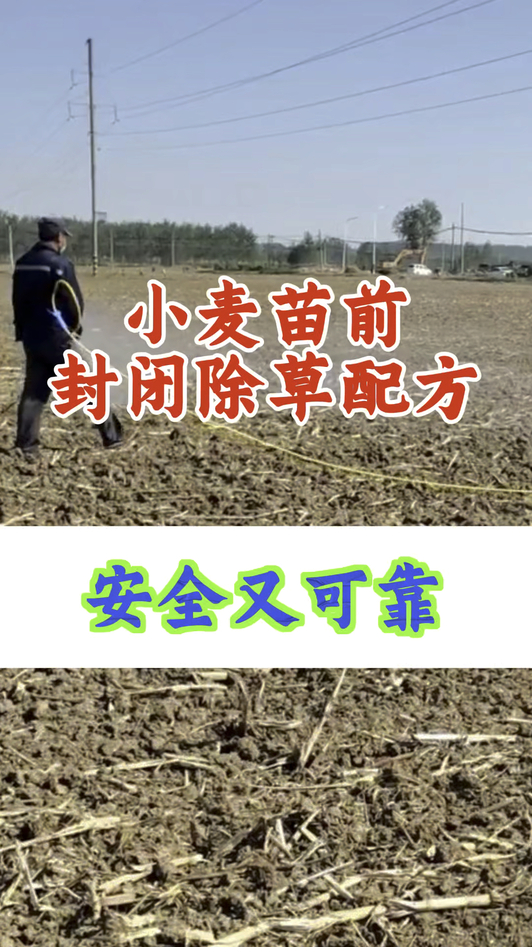 小麦苗前封闭除草剂,安全除草不伤苗