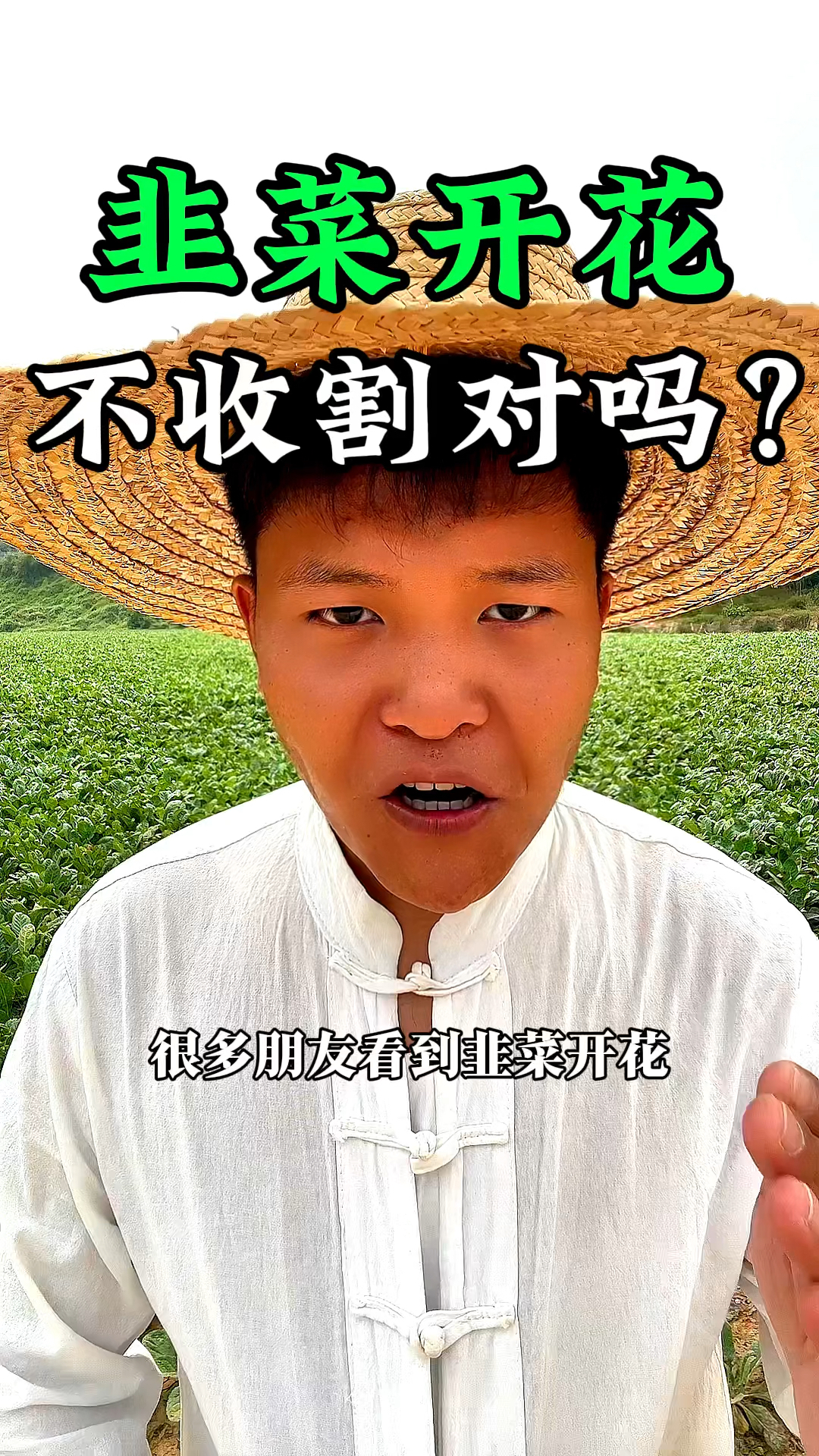 韭菜开花不收割这种做法对吗?韭菜什么时候不能割