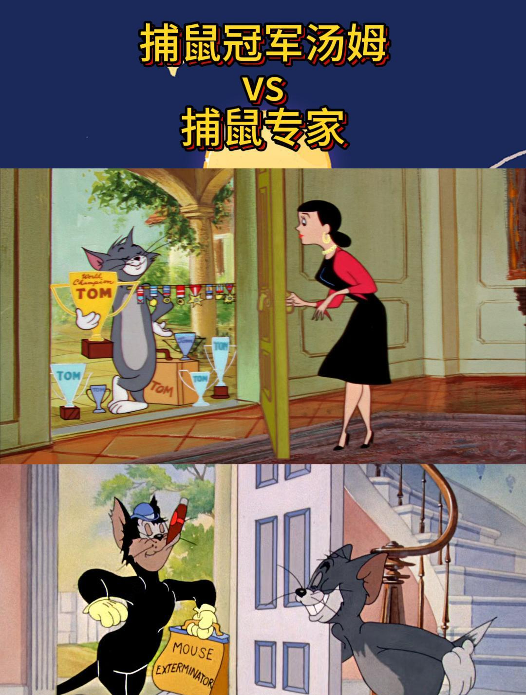 当捕鼠冠军汤姆遇到了捕鼠专家