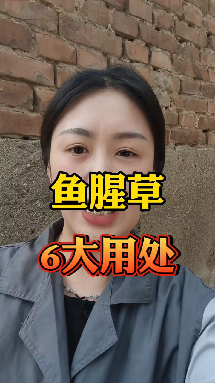 鱼腥草6大用处 收藏备用