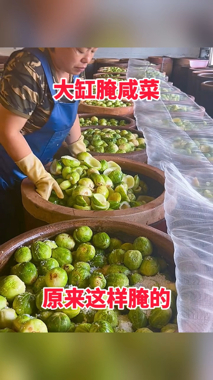 大缸腌咸菜,原来这样腌的!