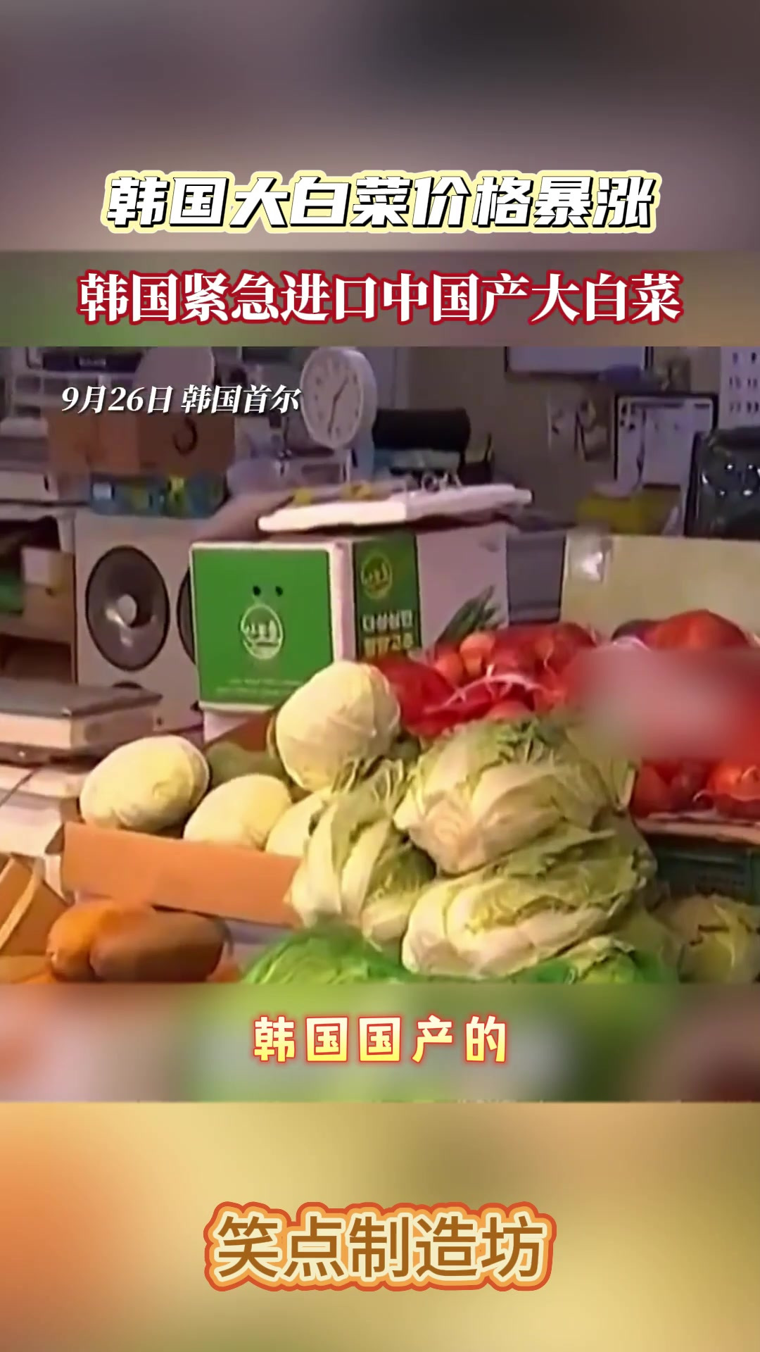 韩国国产大白菜涨价,一颗折合人民币79元!