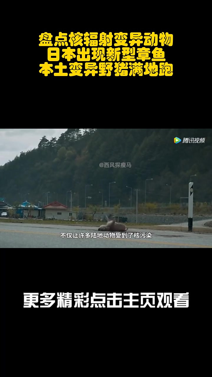 盘点核辐射变异动物,日本出现新型章鱼,本土变异野猪满地跑!_5
