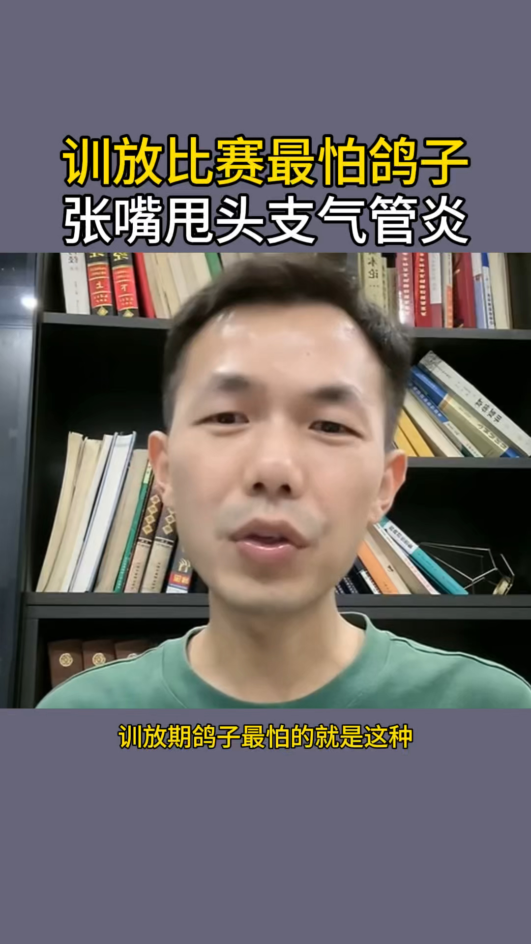 训放期最怕鸽子挠头甩头伸脖子呼吸 #赛鸽信鸽 #职业赛鸽