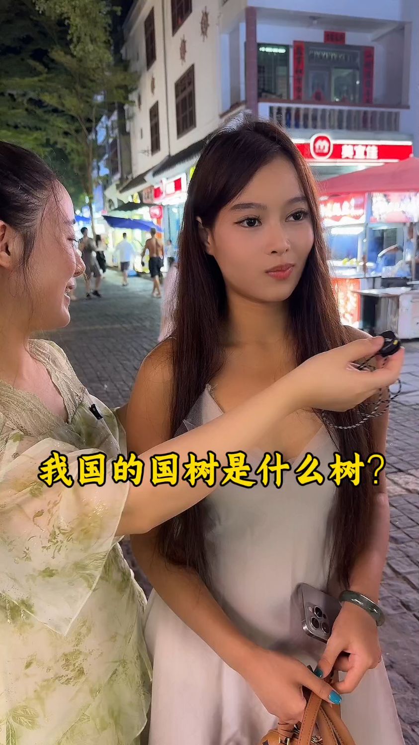 我国的国树是什么树?