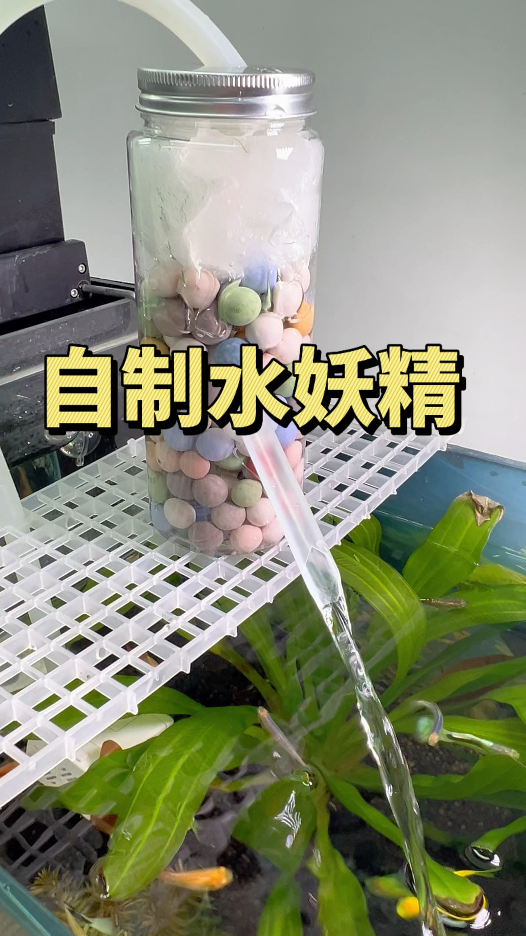 鱼缸过滤器坏了,动手做个不花钱的水妖精备用。#水族#自制水妖精