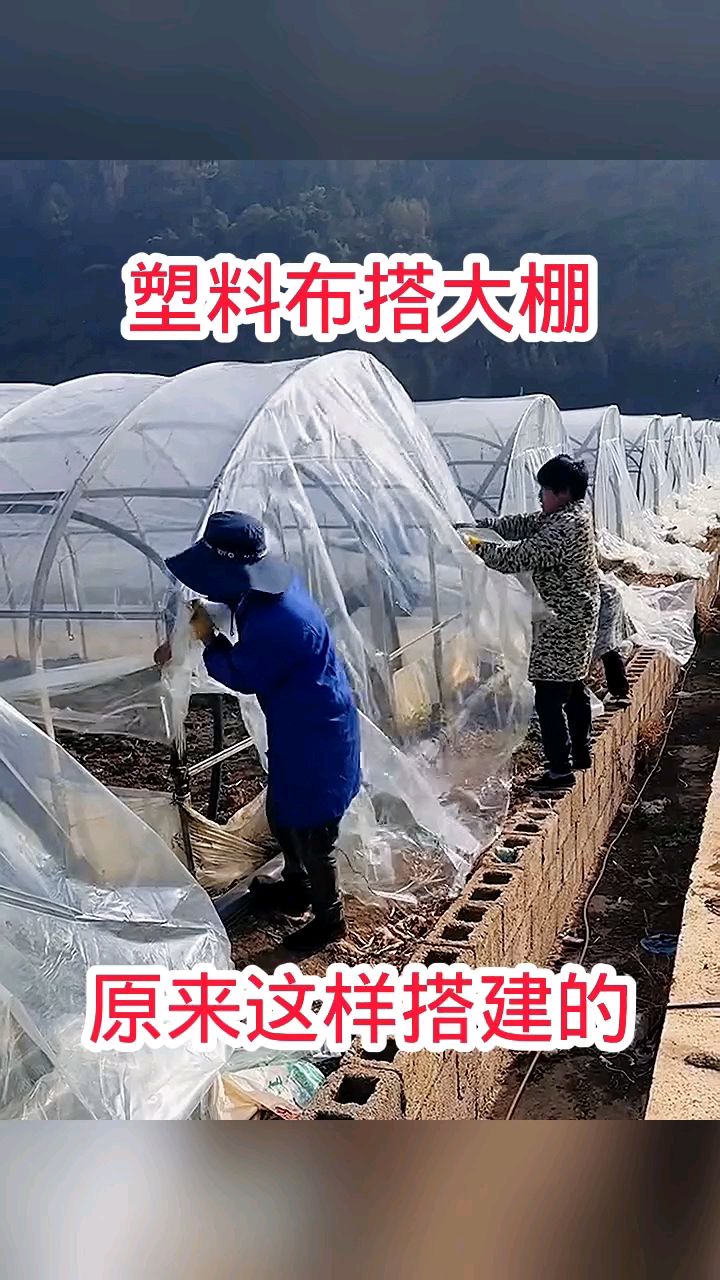 蔬菜大棚,原来这样搭建的!