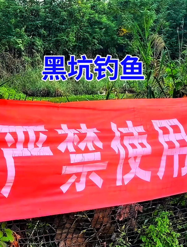 问问钓鱼人:这个咋发现?