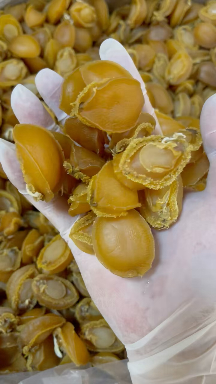 大连鲍鱼干,平均一斤50头,这批货干非常干,平时煲汤最佳选择