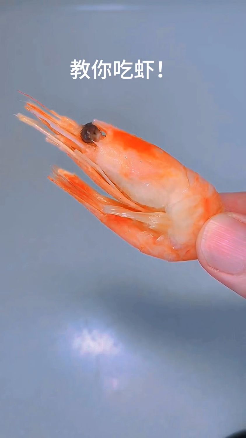 教你如何吃虾啊!