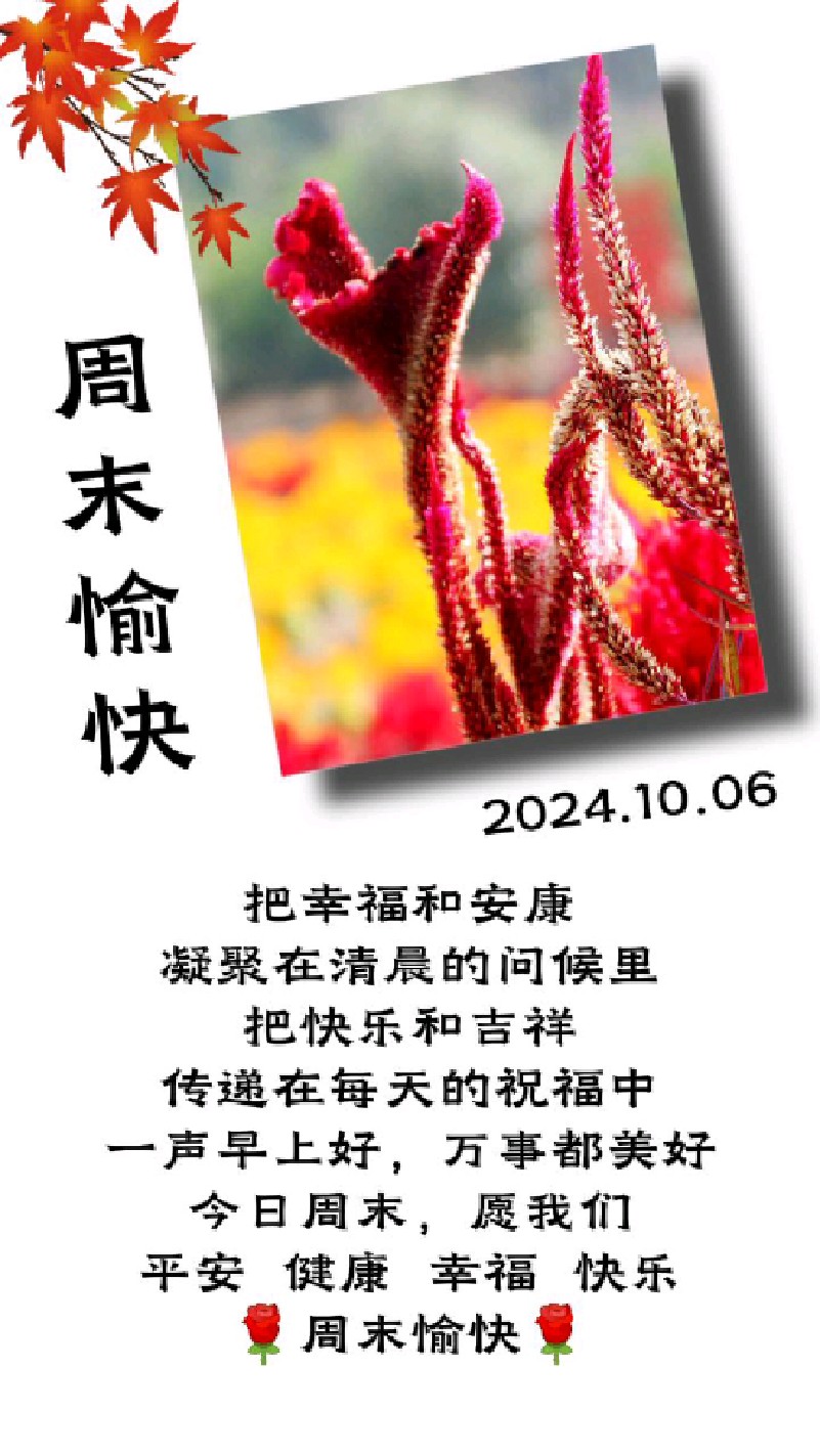 周末愉快!我们一起去八岭山赏凤尾鸡冠花,让生活充满诗情画意
