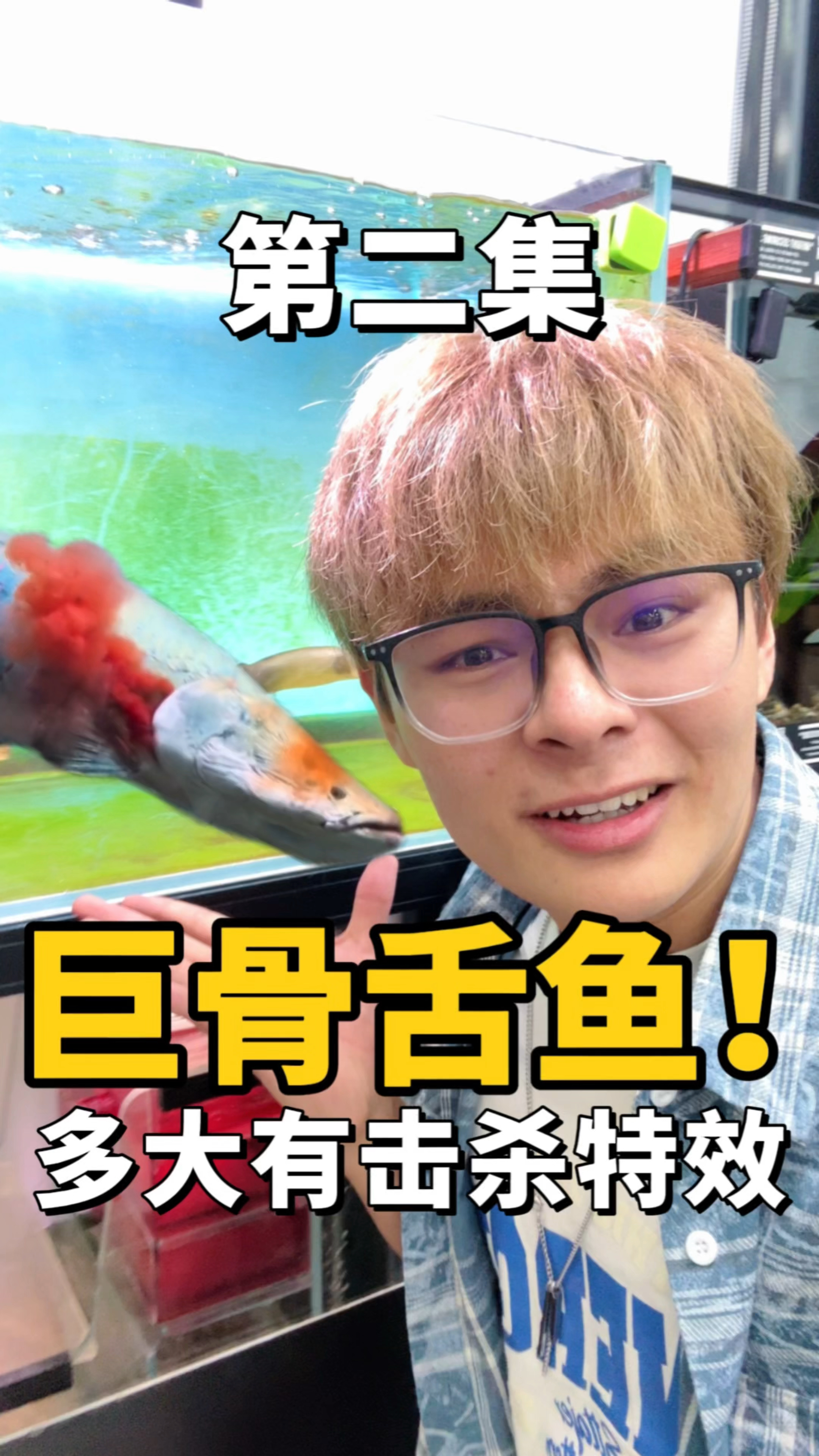 小巨骨舌鱼有击杀特效吗?咱们来测试一下!