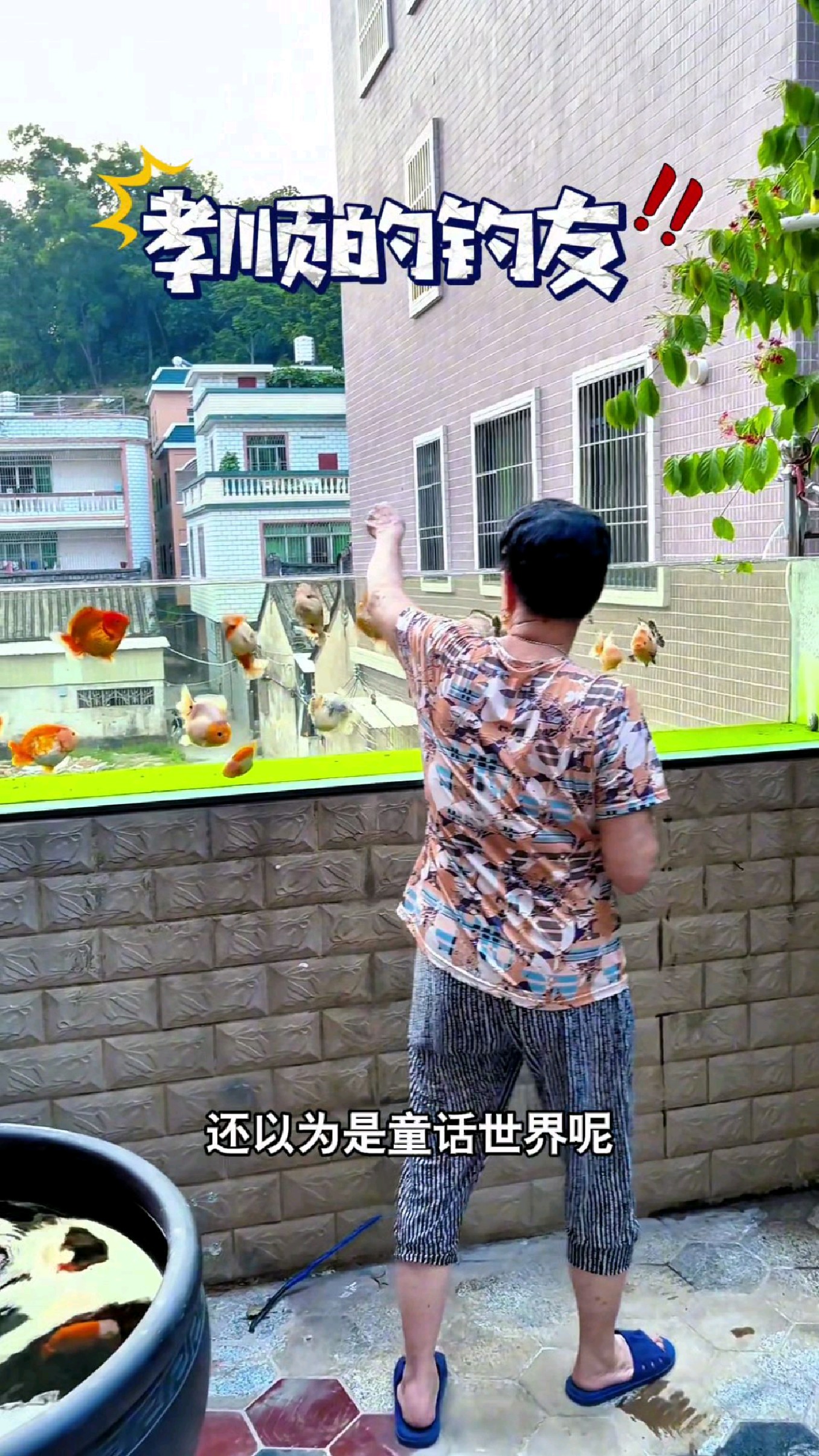 钓友为了让他的老母亲开心,在家里的阳台上做了一个透明鱼池