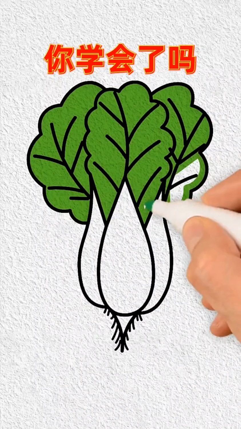 大白菜这样画,有手都能学会