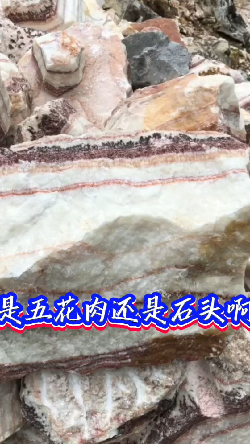 可以把玩的猪肉石天然奇石原石五花肉石头摆件