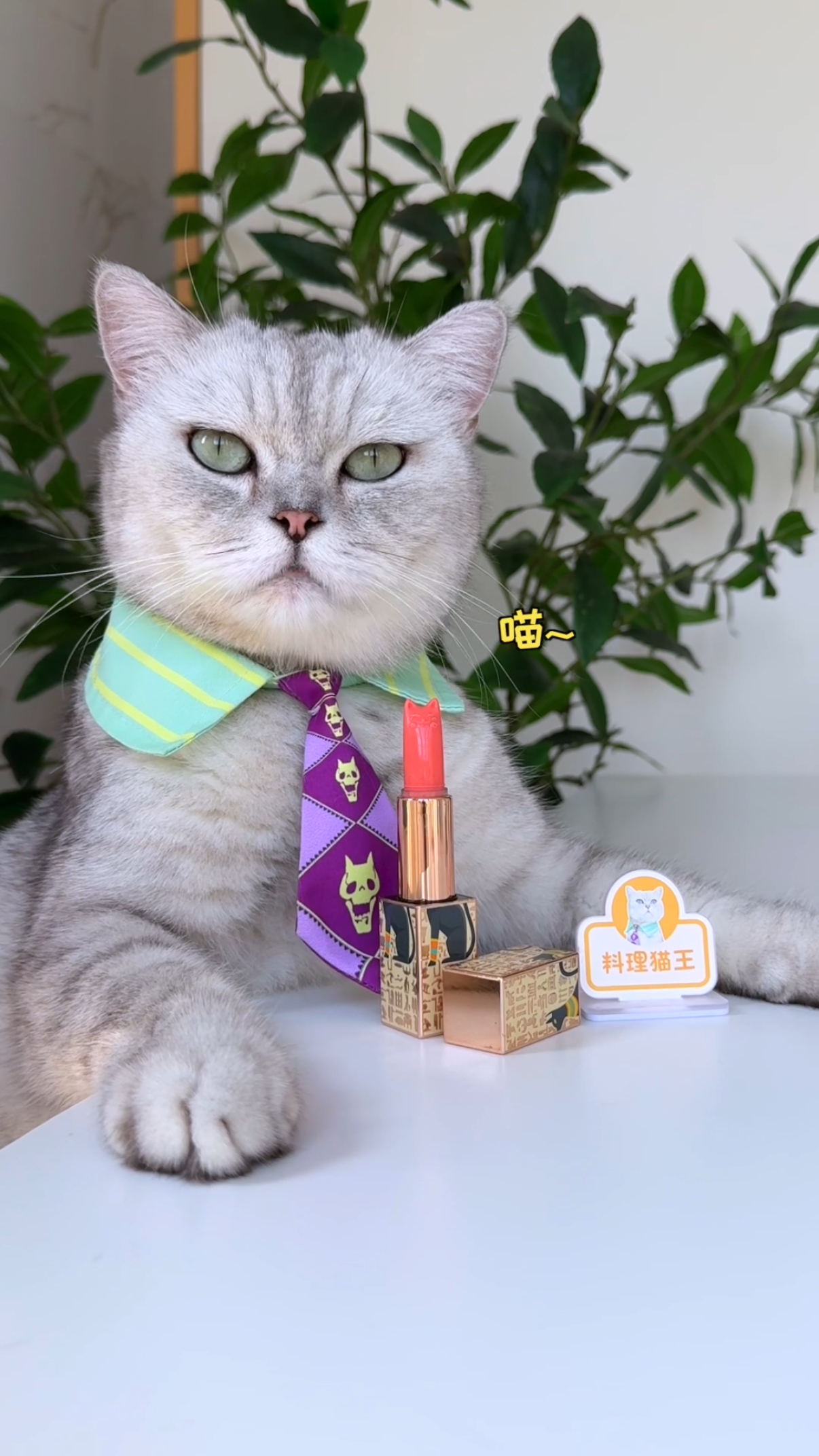 猫王:水果居然能做口红,颜色还超级好看!