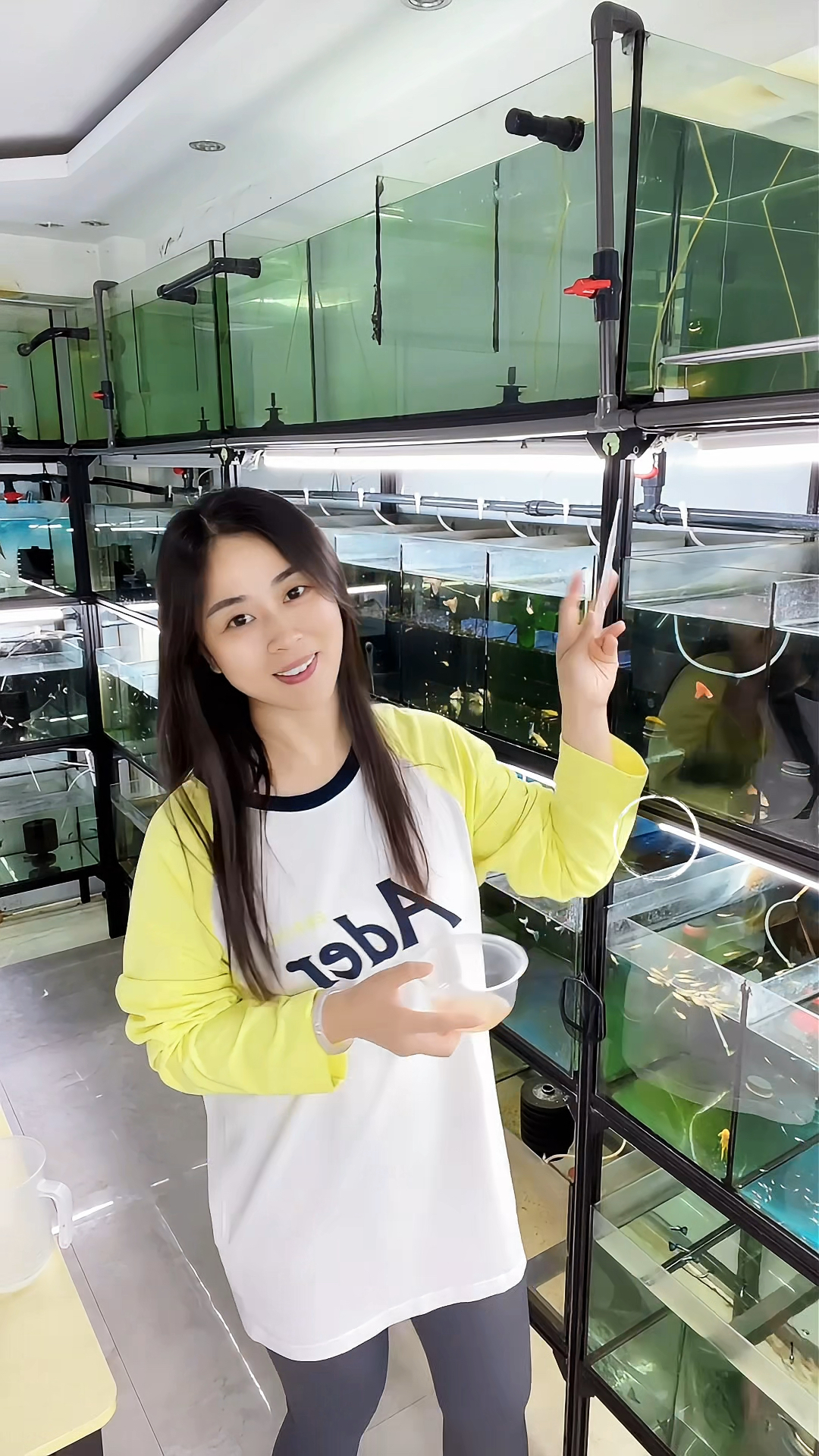 喂鱼啦,用红色系孔雀鱼给这个十一假期收个尾巴,祝祖国繁荣昌盛