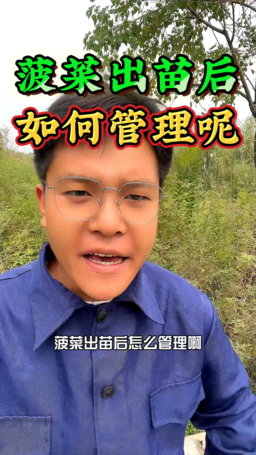 菠菜种植出苗后,如何管理菠菜才能长得好